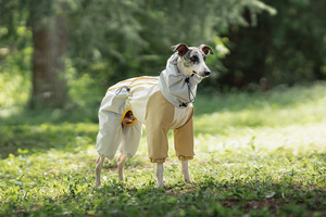 <b>Dog</b> Raincoat Modern Classic Waterproof Windproof Solid Fabric Lightweight Reflective Breathable Full-<b>Body</b> Coverage Dry <b>Suit</b> - Product Image 3