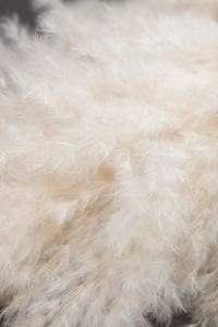 Moon Yu Vente en gros Style Ins Grande herbe pompas <span class=keywords><strong>beige</strong></span> crème séchée et moelleuse Herbe de <span class=keywords><strong>pampa</strong></span> <span class=keywords><strong>pour</strong></span> vases de salon Décor bohème - Product Image 6