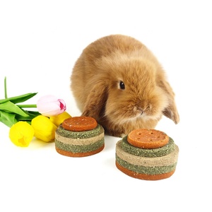 Pet <strong>Rabbit</strong> Birthday Cake Chinchilla Guinea Pig Molar Snack Hamster Nutrition High Fiber Food <strong>Rabbit</strong> Chew Toy Supplies - Product Image 2