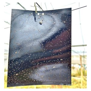 Invernaderos agrícolas Trampa pegajosa negra Control de plagas de insectos Asesino Trampa pegajosa negra para exteriores Tablero de pegamento Colector de insectos - Product Image 3