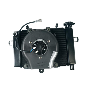 VOGE-Refroidisseur de <span class=keywords><strong>Radiateur</strong></span> 250RR, Accessoires pour <span class=keywords><strong>Moto</strong></span>, Système de Refroidissement pour Remplacement/Réparation, LX250GS-3 - Product Image 4