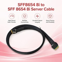 Câble de connexion interne SFF-8654 8i vers SFF-8654 8i 24 Gbit/s SAS4.0, blindage tressé, cuivre étamé, pour centre de données