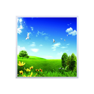 <b>Led</b> Panel <b>Light</b> 600x600mm Aluminum Frame Modern Design For Office School Hospital Ktv <b>Bar</b> Ceiling Lamp With Daisy Pattern - Product Image 3