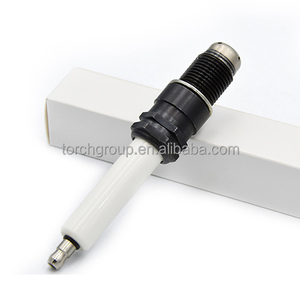 7664604 7664375 7664416 การผลิตหัวเทียนสำหรับ HGM560 SFGM560 Torch R6GC1-77L - Product Image 5