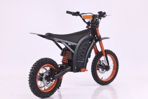 Motocicleta Eléctrica Diton, Sin Emisiones y Silenciosa. Te Permite Divertirte Mientras También Proteges el Medio Ambiente. - Product Image 4
