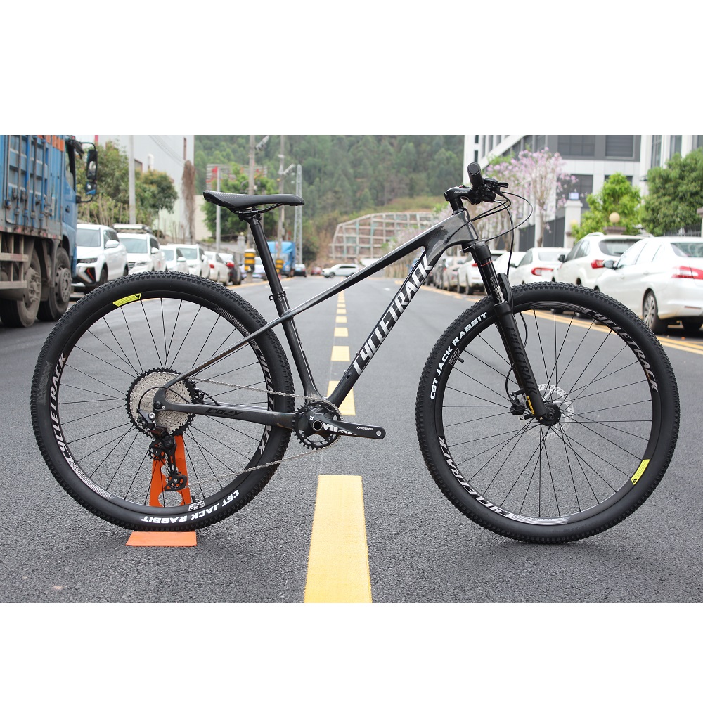 Cycletrack COZY 12 Speed 29 Inch Mountain Bike - Carbon