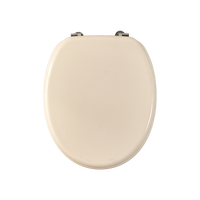 Sièges de toilette élégants moulés par compression, finition élégante, toucher lisse, confort pour une utilisation quotidienne