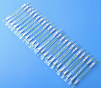 Kit de blanchiment des dents avec embouts en coton VE pour salon de blanchiment dentaire