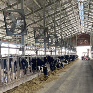 Automatische Vee Werf Headlock Melkkoe Werf Headlock Te Koop Van China Fabricage - Product Image 5