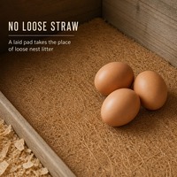 Tapis en fibre de coco découpable pour litière de volaille, en rouleau ou en feuille, vente en gros, doublure de nichoir pour poules pondeuses