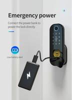 Serrure de porte électrique intelligente Tuya WiFi étanche avec application cloud, capacité de 100 groupes d'empreintes digitales, NFC biométrique, en alliage d'aluminium pour porte en bois