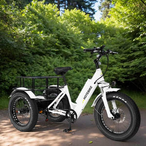 Vélo à 3 roues en gros, tricycle familial à pneus larges de 20 pouces, moteur 48V 500W, vélo à châssis ouvert en promotion - Product Image 1