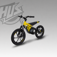 Moto électrique tout-terrain pour enfants, moteur sans balais 653W, roues tout-terrain de 16 pouces, fourche à suspension avant, cadeau de Noël pour enfants, prix de gros
