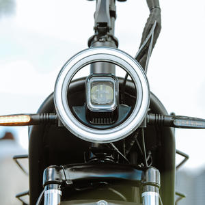 Bicicleta Eléctrica Urbana D+ Big Dudu con Doble Motor, Diseño Moderno y Elegante, Transporte de Mascotas, Frenos de Disco, Cuadro de Acero, 48V 500W - Product Image 4