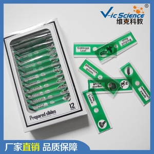 <b>Microscope</b>-grade plastic biological specimen slides, 12-piece vegetable and plant series set, for children. - Product Image 3