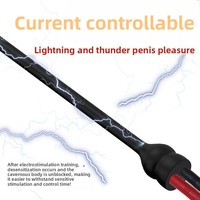 Sonde urétrale électrique ultra longue de 36 cm, dilatateur urétral en silicone, stimulateur masculin, jouet sexuel pour adultes