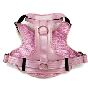 2024 desain baru kualitas tinggi tempur kulit tali anjing dengan gesper logam mewah dan empuk lembut - Product Image 3