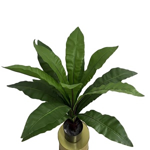 Hoja <span class=keywords><strong>de</strong></span> Asplenium Nidus <span class=keywords><strong>de</strong></span> Plástico <span class=keywords><strong>de</strong></span> Alta Calidad en Maceta para Decoración del Hogar, Bonsái Artificial, <span class=keywords><strong>Buxus</strong></span>, Vegetación <span class=keywords><strong>de</strong></span> Mesa, Helecho <span class=keywords><strong>de</strong></span> Seda Tipo Nido <span class=keywords><strong>de</strong></span> Pájaro - Product Image 1