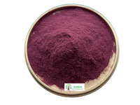 DARWIN Natuurlijk Anthocyanine Poeder 10% Zwarte Bes Fruitextract Zwarte Bes Extract