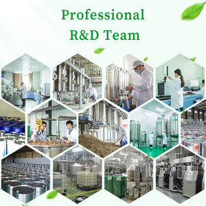 USDA NOP certificato raffinato spremuto a freddo olio per massaggi Halal olio di ricino sfuso olio di ricino per la cura della pelle e dei capelli - Product Image 3