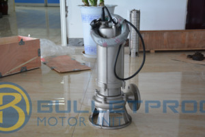 Bomba Sumergible de Drenaje y Aguas Residuales a Prueba de Explosiones, de Servicio Continuo, Personalizada OEM, 380V-660V 2.2kW-550kW 50Hz/60Hz - Product Image 5