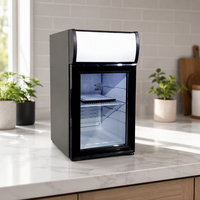 Réfrigérateur de comptoir NE-25CL-12 25L avec éclairage supérieur, porte vitrée, vitrine réfrigérée pour boissons