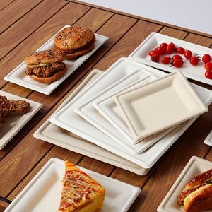 Assiettes carrées jetables anti-déformation biodégradables de 10 pouces en bagasse de canne à sucre pour plats à emporter et pique-niques - Product Image 2