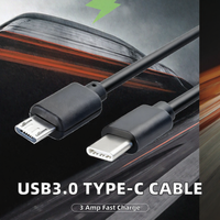 Câble USB 2.0 Type-C OTG vers Micro USB Mâle 0,3m Gaine PVC Chargement Rapide 3A Blindage en Feuille Cuivre Pur Téléphones Mobiles 20W 45W
