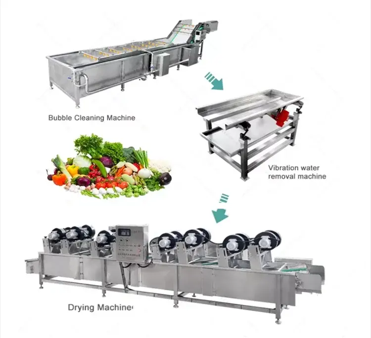 Hochleistungs-Gemüse waschmaschine Kleine Waschmaschine für Obst zum Verkauf im Jahr