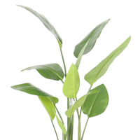Bonsaï artificiel de bananier variegé de petite taille, de haute qualité et abordable, directement de l'usine, pour la décoration de la maison et du jardin