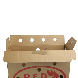 Cajas <span class=keywords><strong>de</strong></span> Cartón Corrugado Personalizadas <span class=keywords><strong>de</strong></span> Alta Gama para Aves Vivas <span class=keywords><strong>con</strong></span> Orificios para el Transporte <span class=keywords><strong>de</strong></span> Pollos, Cajas <span class=keywords><strong>de</strong></span> Cartón Transportables - Product Image 5