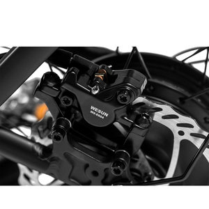 Étape à travers Ebike commande en gros personnalisée livraison directe disponible 52v grand moteur de moyeu arrière 15ah 20 "gros pneu vélo électrique - Product Image 4
