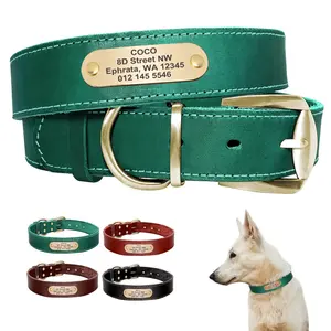 Collare per cani da compagnia in vera pelle di nuovo Design Berry con targhetta personalizzata