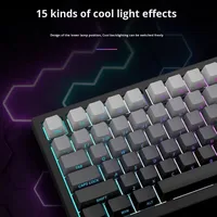 Clavier de jeu programmable sans fil 2,4 GHz à 101 touches avec rétroéclairage RGB mécanique à trois modes personnalisable, souris USB Type A pour les joueurs