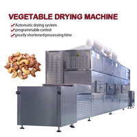 Machine industrielle de stérilisation par micro-ondes pour aliments pour animaux de compagnie, séchoir de maturation pour noix et légumineuses, déshydrateur de granulés, usine de transformation