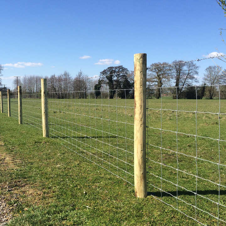 High Tensile Electric Galvanized Hinge Joint Woven Wire Mesh for Livestock Field Farm Game Field Fence for Fencing Trellis Gates