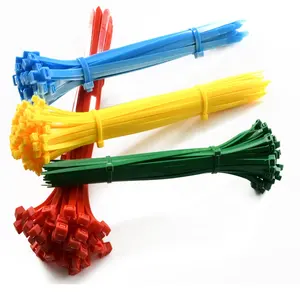 Colorful 2.5 X 100mm 100 Pcs Pack Miniature Duty Plastic Tie Self-locking Nylon Cable Tie Black Red Yellow Green Blue Orange