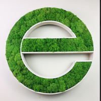 Lettres en mousse de renne naturelle préservée personnalisées, logo 3D en mousse, panneau mural pour spa, café, bureau, réception, décoration murale