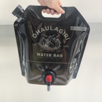 Sacs en plastique de qualité alimentaire 1L 3L 5L 10L personnalisés avec poignée Pochette à eau portable en matériau PE avec impression personnalisée pour le stockage et le transport