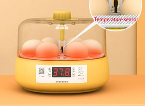 Tự Động Hộ Gia Đình Mini Lồng Ấp Cho Nở 6 Gà Ngỗng Đà Điểu Vịt Gà Tây Trứng Điều Kiện Mới - Product Image 3