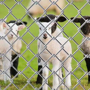 아연 도금 공장 제조업체 6ft 8ft 50x5 0mm 하이 퀄리티 와이어 메쉬 체인 링크 울타리 패널 - Product Image 1