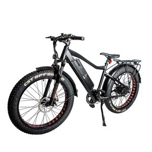 caliente de alta potencia de alta calidad de motor de cubo sin escobillas ebike grasa de neumáticos de bicicleta eléctrica - Product Image 1