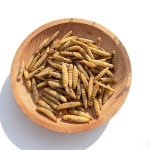 Larvas Secas de Mosca Soldado Negra a Granel, Alimento Seco de Gusanos de Fábrica Estable para Ganado, Aves de Corral, Acuarios y Mascotas - Product Image 4