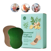 Chine Fournisseur Santé Pied Patch Absinthe Gingembre Detox Paster Aucun Effets Secondaires