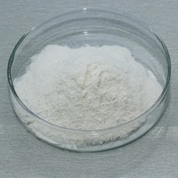 Poudre de Lactobacillus Plantarum Lyophilisée pour Capsules, Comprimés et Sachets