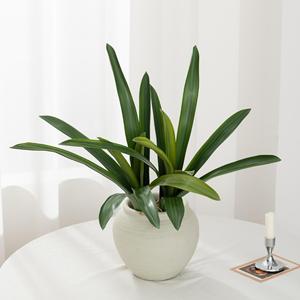 Hojas de orquídea Cymbidium Meng Jie, planta artificial, hojas con bordes blancos para el hogar, sala de estar, arreglos florales - Product Image 1