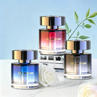 Ting Yu TY-364 100ml Parfum de voiture haut de gamme, parfum longue durée, éliminateur d'odeurs, décoration intérieure élégante