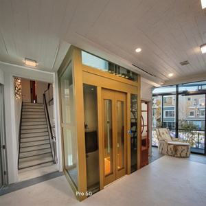 Gse Moderne 2-4 Passagiers Residentiële Lift Kleine Thuisgebruik Persoonlijke Lift Versnellingsloos Pvc Ac Voor Kleine Huizen 320Kg Capaciteit - Product Image 3