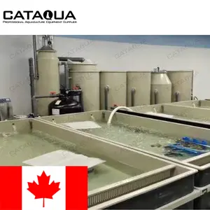 CATAQUAカナダプロジェクトとげのあるロブスターファーム低温水処理機械再循環養殖システムフィッシュファーム