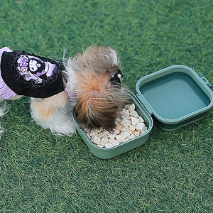 <span class=keywords><strong>2025</strong></span> nouveau fabricant en gros voyage en plein air pliable pliable chien deux bols - Product Image 4